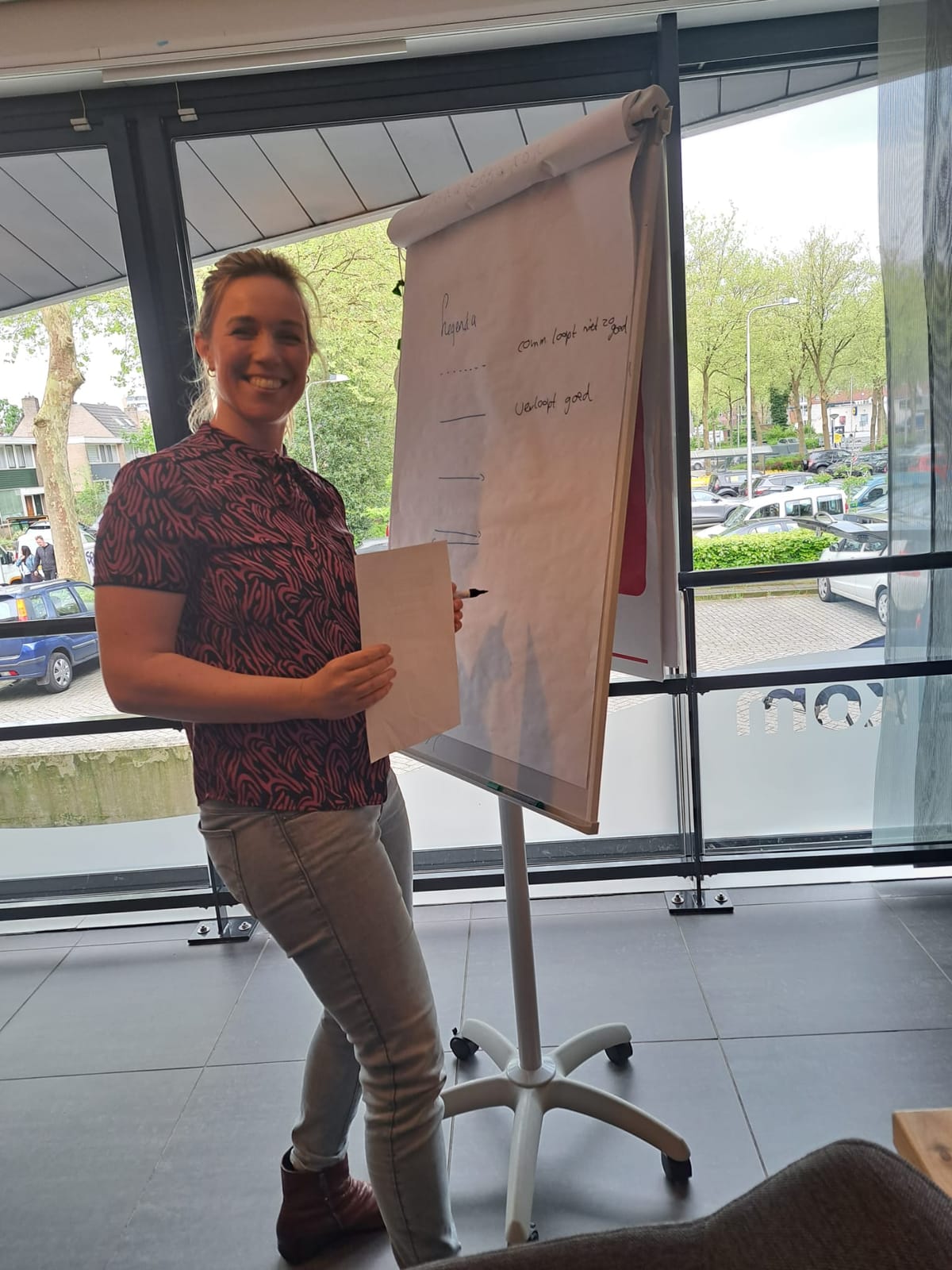 Teamcoaching in de praktijk
